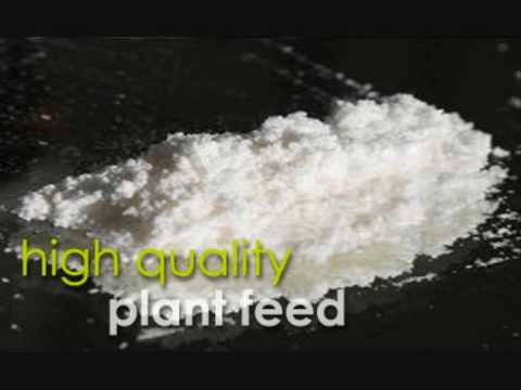 Mephedrone - Chemistry Behind the Headlines 1