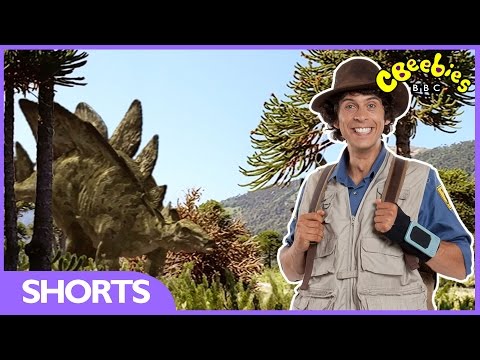 Andy's Dinosaur Adventures - Stegosaurus Facts - CBeebies