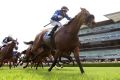 Round of applause: Brenton Avdulla wins the Villiers Stakes at Randwick on Happy Clapper.