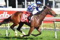 Regan Bayliss rides Harlow Gold to victory at Caulfield on Saturday.