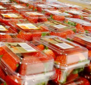 Cheap strawberries for sale at Coles on Swan Street in Richmond on September 19, 2016 in Melbourne, Australia.