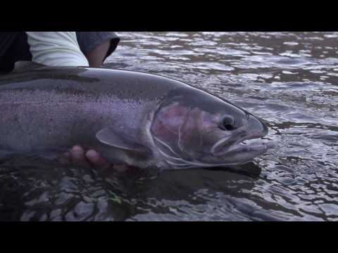 Skagit Revolution: Skagit Casting Tutorial by Tom Larimer