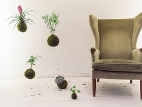 Kokedama and Macrame Workshop