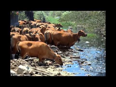 Water Pollution Documentary