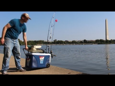 Catfishing from the bank - Fishing from shore - Fishing from bank