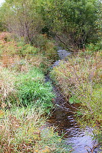 Trexler Run looking upstream.JPG