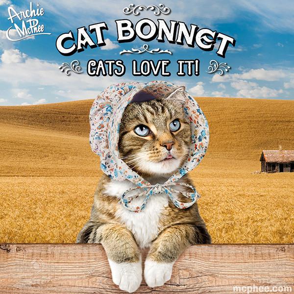 cat-bonnet-tabby