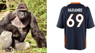 Harambe Football Jerseys Once Again Available in NFL Shop