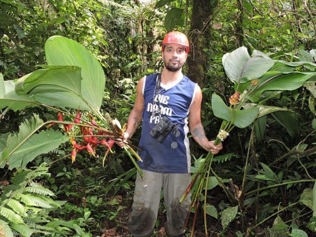 Intern Spotlight: Rodolfo Flores Discovering New Plants at STRI