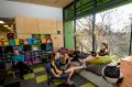 Golden Square Primary students learn among the tree tops with principal Barry Goode.  