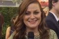 Amy Poehler at the 2016 Emmys.