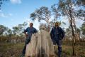 Olkola land managers brothers Glen Kulka (left) and Hamish Kulka (right) among termite mounds at Killarney.