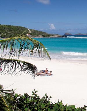 Auf der karibischen Insel St. Barth werden edle Öle hergestellt