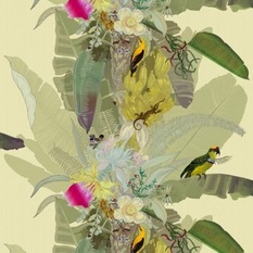 Merian Palm Wallpaper - Wallpaper