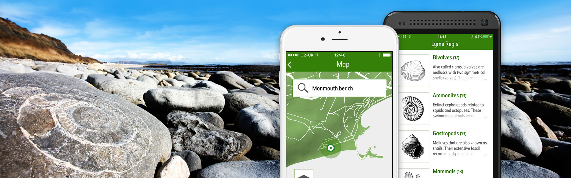 Download the new Fossil Explorer app