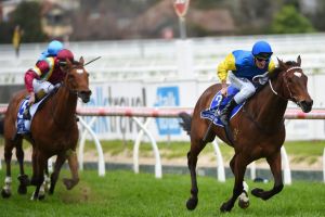 Brad Rawiller riding Black Heart Bart wins Race 8, Underwood Stakes during Melbourne Racing at Caulfield Racecourse on ...