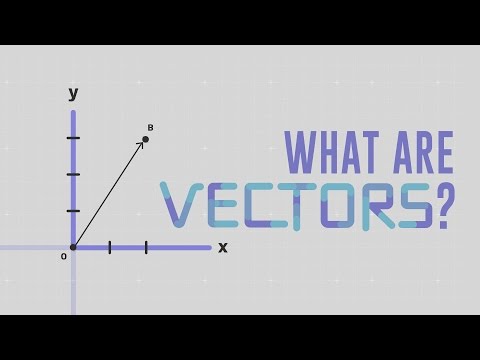 What is a vector? - David Huynh