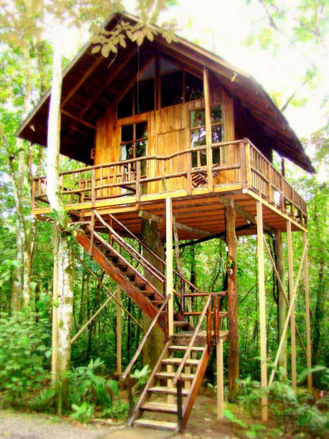 Treehouses