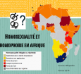 Homosexualité et homophobie en Afrique