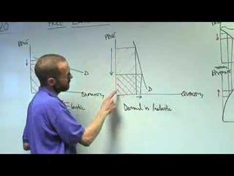 Price Elasticity & Total Revenue