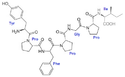 Chemical structure of Bovine β-casomorphin.