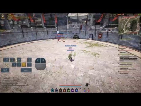 Black Desert Online: Tamer-Basic Animation Cancel Combo Guide