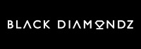 Logo for Black Diamondz Property Concierge