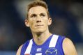 Former North Melbourne forward Drew Petrie.