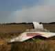 A portion of the MH17 wing lies in the field as smoke rises behind the tree-line where fighting continued off the crash site.