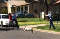 A photo posted to Facebook reportedly taken just before a man was shot by police in Cowra. 