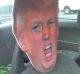 Trump cardboard cutout