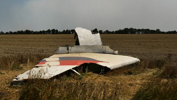 A portion of the MH17 wing lies in the field as smoke rises behind the tree-line where fighting continued off the crash site.