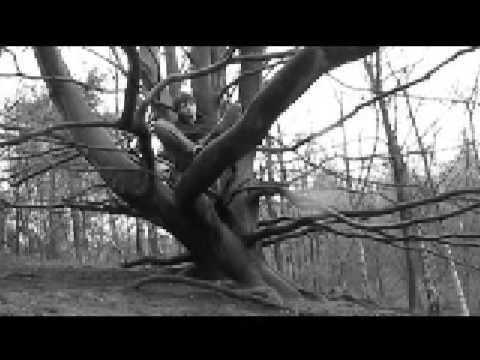 Tiergarten - Rufus Wainwright