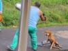 Garbage man’s horrific dog abuse