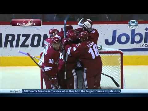 Phoenix Coyotes goaltender Mike Smith scores a goal