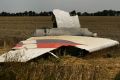 A portion of the MH17 wing lies in a field outside the village of Grabovka as smoke rises behind the tree line.