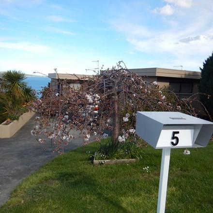 Picture of 5 Bareena Road, Taroona