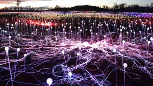 Field of Light Uluru - Landscape