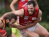 Ayres calls for help to save VFL club