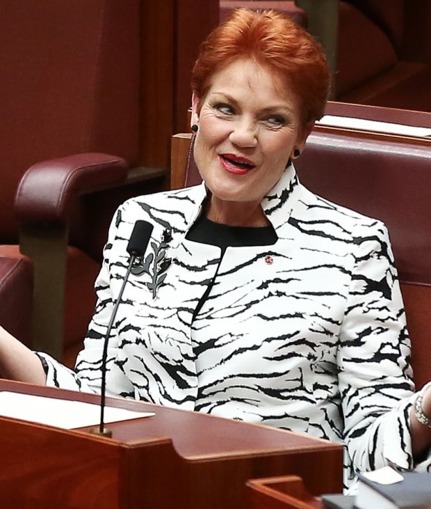 Senator Pauline Hanson during the opening of the 45th Parliament, at Parliament House in Canberra on Tuesday 30 August ...