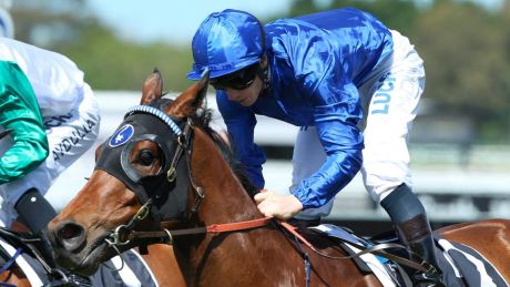 Chasing the Metrop: Jockey James McDonald rides Allergic.