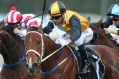 On track: Mackintosh wins the Theo Marks Stakes at Rosehill.