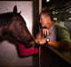 Flight of fancy: David Vandyke and Yankee Rose.