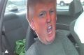 Trump cardboard cutout