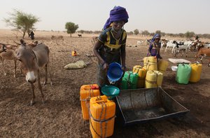 In this Tuesday, May 11, 2010 file photo, a Fulani nomad woman collects drinking water for her family's donkeys, sheep, and cattle, in Gadabeji, Niger.