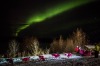 DeeDee Jonrowe arrives at the Ruby, Alaska checkpoint under the Northern Lights during the Iditarod Trail Sled Dog Race ...