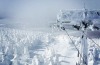 FINALIST: Field of snow monsters.