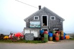 We picked a poor day to go whale-watching off remote Brier Island, Nova Scotia, in July. The fog thickened the closer we ...