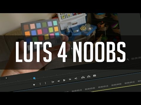 Color Grading LUTs For Noobs! - LUT Basics and Techniques