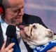 Federal Opposition Leader Bill Shorten with Matilda, his 3-year-old bulldog on Nova radio.